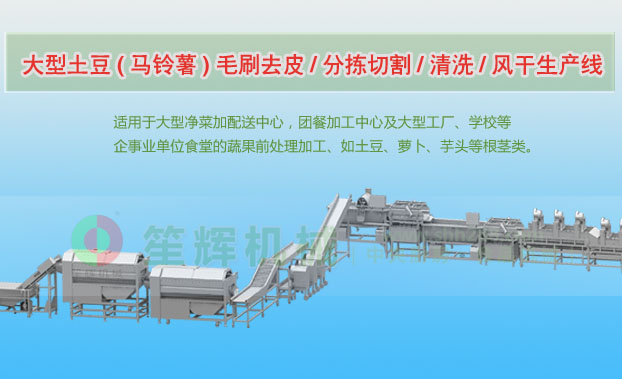 龙游连续式土豆去皮清洗切割风干生产线